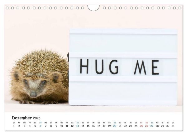 Produktbild: Tierkinder ganz frech (Wandkalender 2026 DIN A4 quer), CALVENDO Monatskalender