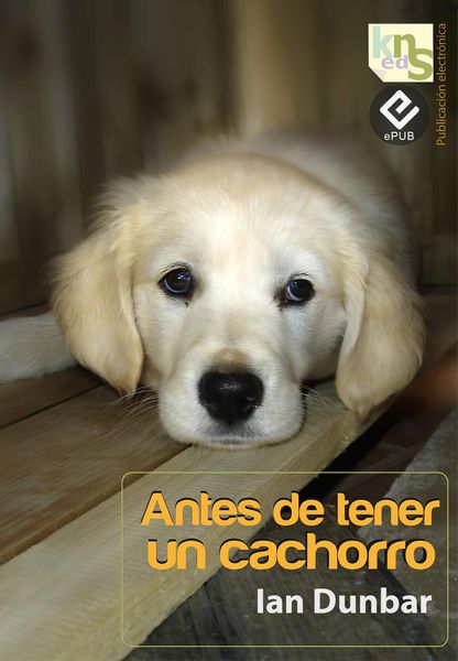 Produktbild: Antes de tener un cachorro