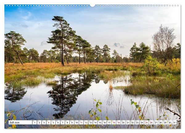 Produktbild: L&uuml;neburger Heide: Die Nordheide (hochwertiger Premium Wandkalender 2026 DIN A2 quer), Kunstdruck in Hochglanz