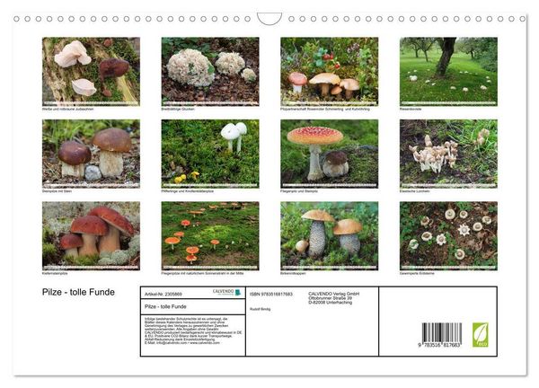 Produktbild: Pilze - tolle Funde (Wandkalender 2027 DIN A3 quer), CALVENDO Monatskalender