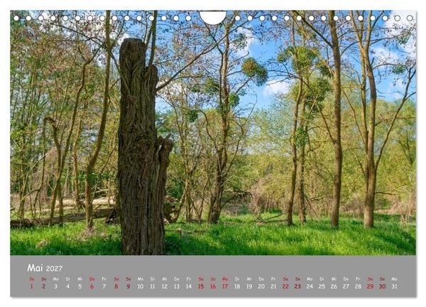 Produktbild: Biosph&auml;renreservat Schorfhede-Chorin (Wandkalender 2027 DIN A4 quer), CALVENDO Monatskalender