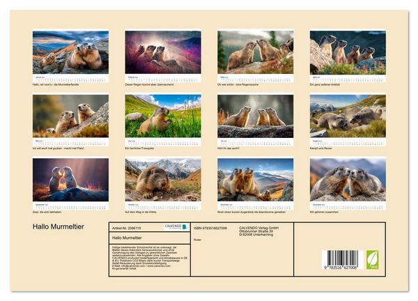 Produktbild: Hallo Murmeltier (hochwertiger Premium Wandkalender 2026 DIN A2 quer), Kunstdruck in Hochglanz