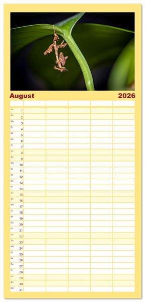 Produktbild: Familienplaner 2026 - Im Bann der Mantis mit 5 Spalten (Wandkalender, 21 x 45 cm) CALVENDO