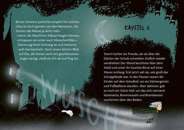 Produktbild: Storm 1: Das Internat des Gruselns