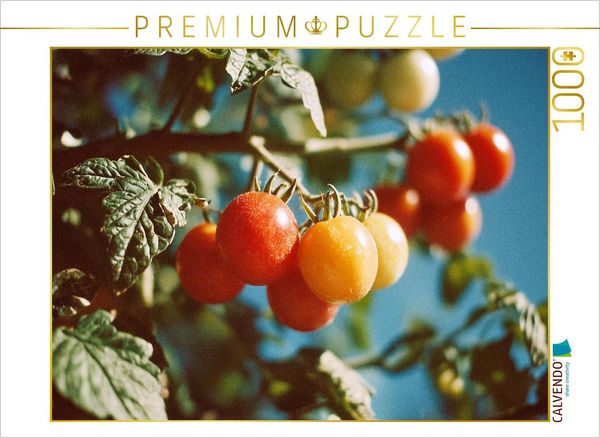 CALVENDO Puzzle Reife Tomaten am Strauch im Sonnenschein | 1000 Teile Lege-Größe 64x48cm Foto-Puzzle für glückliche Stunden