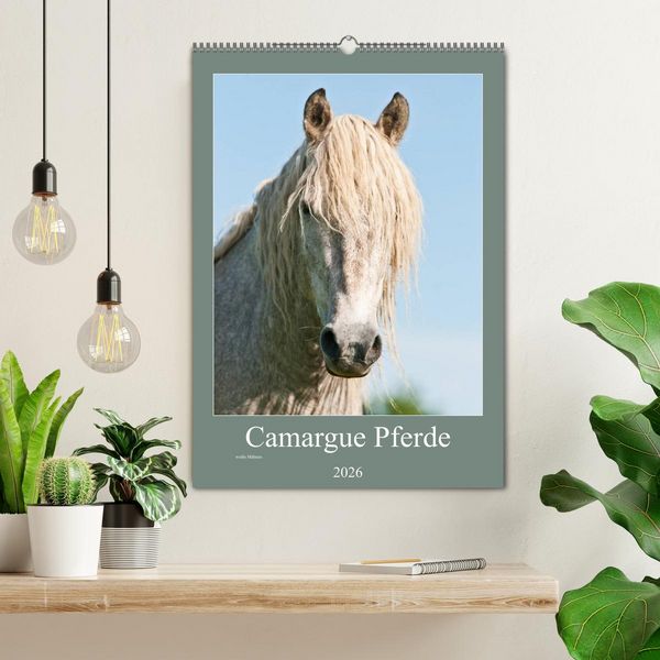 Produktbild: Camargue Pferde - wei&szlig;e M&auml;hnen (Wandkalender 2026 DIN A2 hoch), CALVENDO Monatskalender