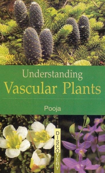 Produktbild: UNDERSTANDING VASCULAR PLANTS
