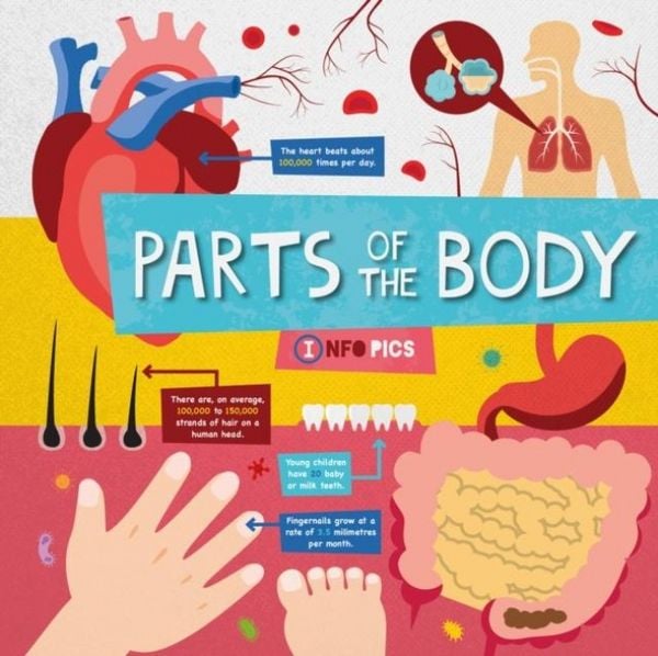 Produktbild: Parts of the Body