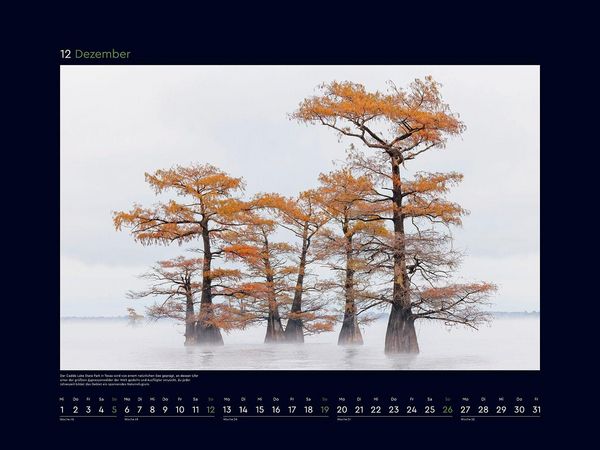 Produktbild: Alte B&auml;ume, Sinnbilder des Lebens - KUNTH Wandkalender 2027