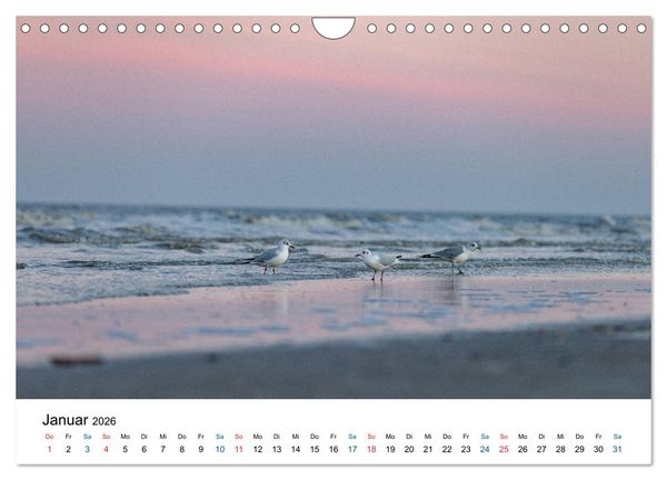 Produktbild: Lichtstimmungen in Sankt Peter-Ording (Wandkalender 2026 DIN A4 quer), CALVENDO Monatskalender