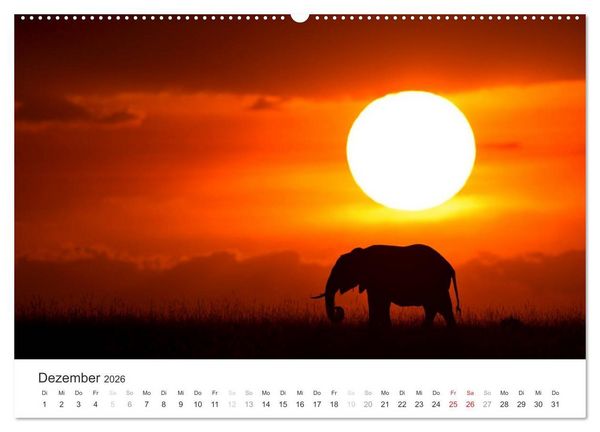 Produktbild: Elefanten - Sanfte Riesen in Afrika (hochwertiger Premium Wandkalender 2026 DIN A2 quer), Kunstdruck in Hochglanz