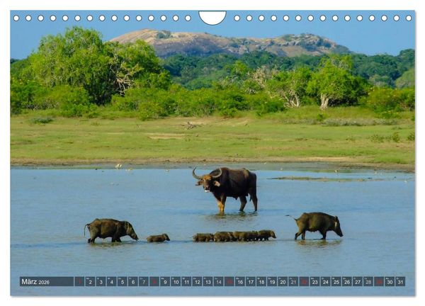Produktbild: Sri Lanka - Eine Bilder-Reise (Wandkalender 2026 DIN A4 quer), CALVENDO Monatskalender