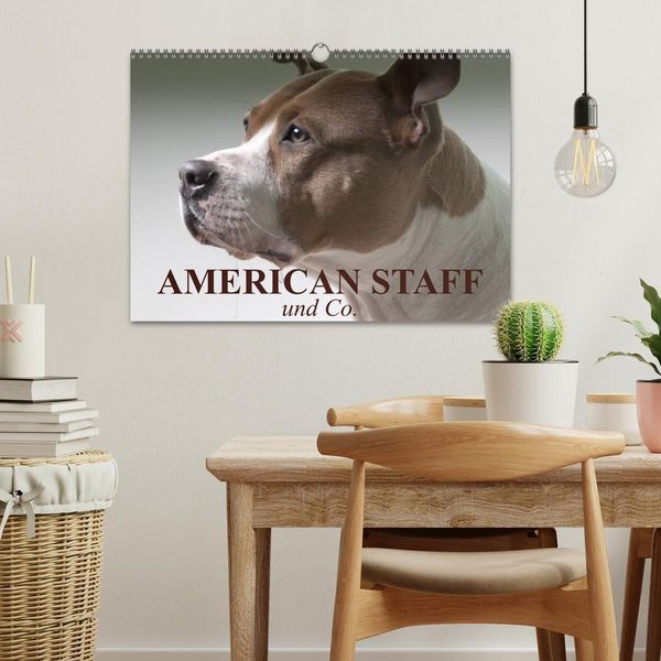 Produktbild: American Staff und Co. (Wandkalender 2026 DIN A3 quer), CALVENDO Monatskalender
