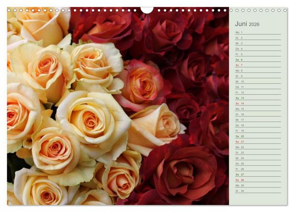 Produktbild: Rosen, Rosen ... arrangiert und am Strauch (Wandkalender 2026 DIN A3 quer), CALVENDO Monatskalender