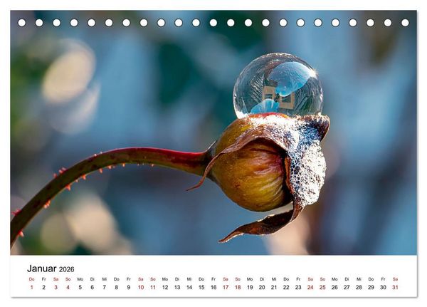 Produktbild: Bergell - Bregaglia Impressionen (Tischkalender 2026 DIN A5 quer), CALVENDO Monatskalender