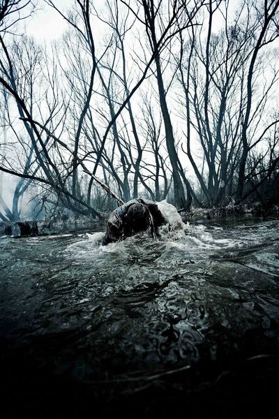 Produktbild: Sauna - Wash your Sins