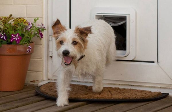 Produktbild: SureFlap Mikrochip Pet door Haustierklappe Braun 1St.
