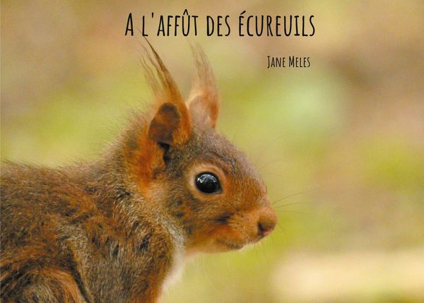Produktbild: A l'aff&ucirc;t des &eacute;cureuils