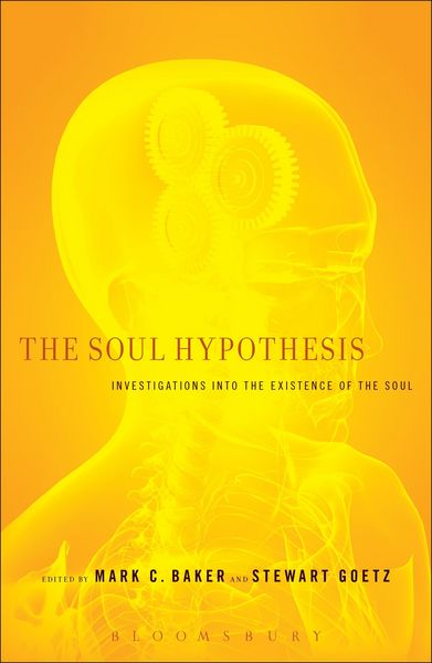 Produktbild: The Soul Hypothesis