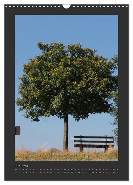 Produktbild: Odenwald - Impressionen einer Landschaft (Wandkalender 2026 DIN A3 hoch), CALVENDO Monatskalender