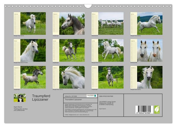 Produktbild: Traumpferd Lipizzaner (Wandkalender 2026 DIN A3 quer), CALVENDO Monatskalender
