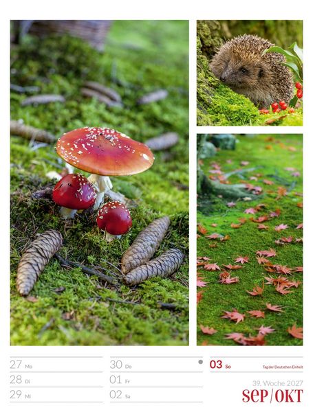 Produktbild: Farben der Natur Wochenplaner Kalender 2027