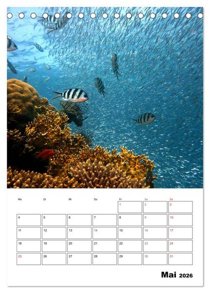 Produktbild: Zauberwelt. Fische, Korallen und Co. (Tischkalender 2026 DIN A5 hoch), CALVENDO Monatskalender