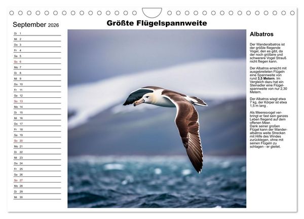 Produktbild: Tierische Rekorde (Wandkalender 2026 DIN A4 quer), CALVENDO Monatskalender
