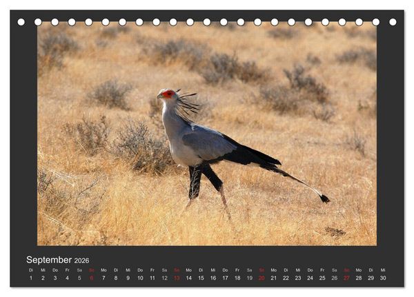 Produktbild: Facetten Namibias (Tischkalender 2026 DIN A5 quer), CALVENDO Monatskalender