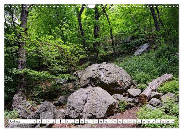 Produktbild: Naturlandschaft Laacher See (Wandkalender 2026 DIN A3 quer), CALVENDO Monatskalender