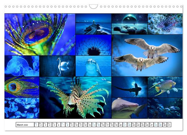 Produktbild: Colour Symphonies of the Earth (Wall Calendar 2026 DIN A3 landscape), CALVENDO 12 Month Wall Calendar
