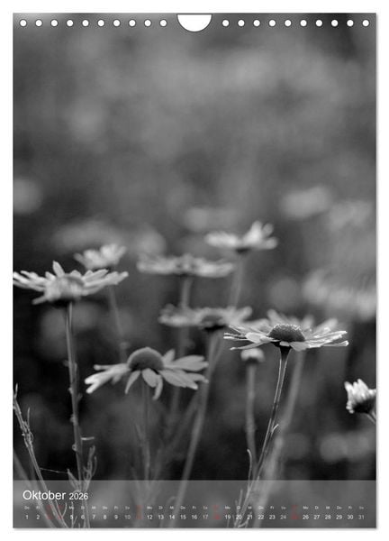 Produktbild: Monochrome Bl&uuml;ten - In Schwarz-Wei&szlig; Bildern durch das Jahr (Wandkalender 2026 DIN A4 hoch), CALVENDO Monatskalender