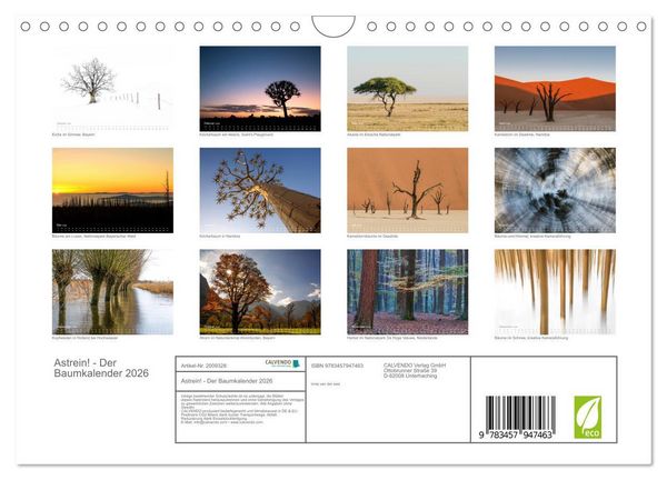 Produktbild: Astrein! - Der Baumkalender 2026 (Wandkalender 2026 DIN A4 quer), CALVENDO Monatskalender