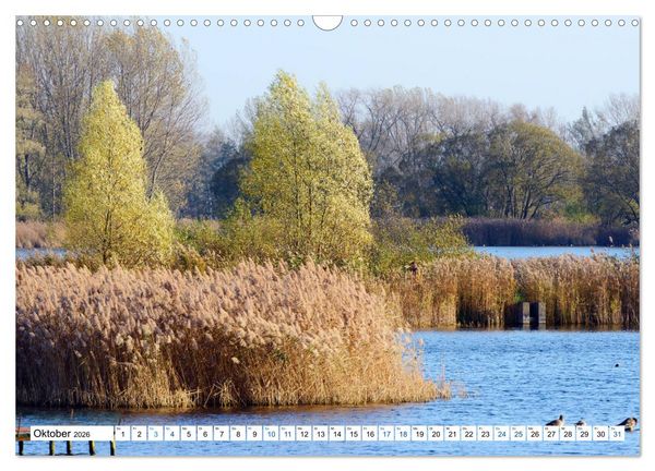 Produktbild: Land Brandenburg - Natur und Erholung im m&auml;rkischen Land (Wandkalender 2026 DIN A3 quer), CALVENDO Monatskalender