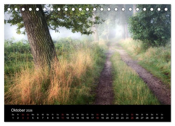 Produktbild: Waldkalender (Tischkalender 2026 DIN A5 quer), CALVENDO Monatskalender