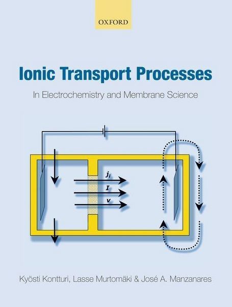 Produktbild: Ionic Transport Processes