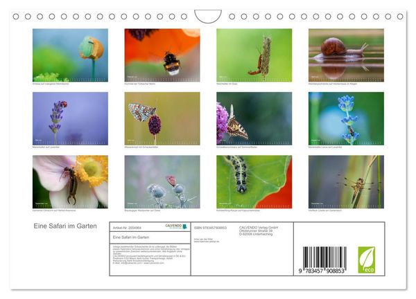 Produktbild: Eine Safari im Garten (Wandkalender 2026 DIN A4 quer), CALVENDO Monatskalender