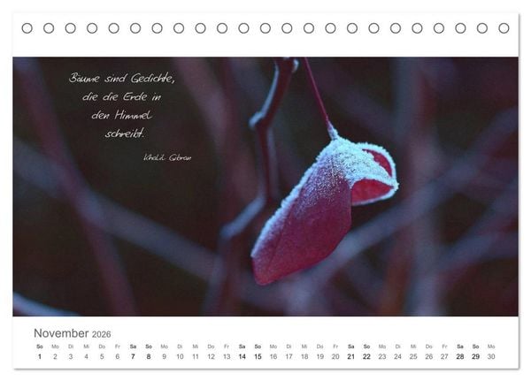 Produktbild: Rendezvous im Park (Tischkalender 2026 DIN A5 quer), CALVENDO Monatskalender