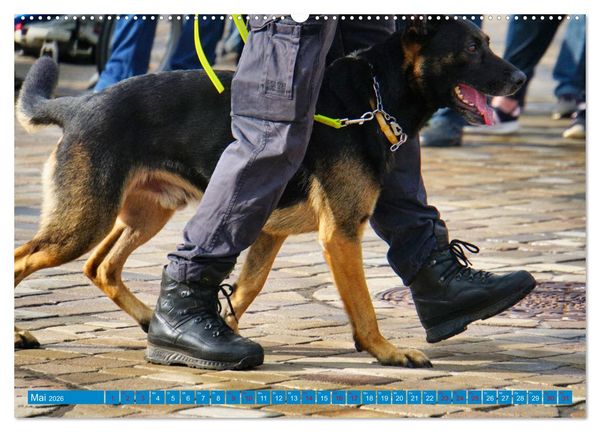 Produktbild: Aktionstag der Polizei (hochwertiger Premium Wandkalender 2026 DIN A2 quer), Kunstdruck in Hochglanz