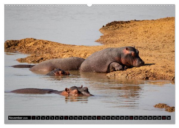 Produktbild: Sambia "Das wirkliche Afrika" (Wandkalender 2026 DIN A2 quer), CALVENDO Monatskalender