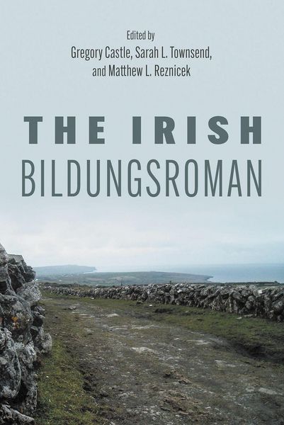 Produktbild: The Irish Bildungsroman