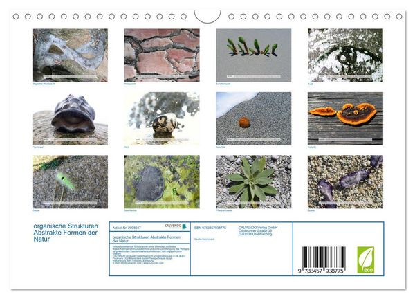 Produktbild: organische Strukturen Abstrakte Formen der Natur (Wandkalender 2026 DIN A4 quer), CALVENDO Monatskalender