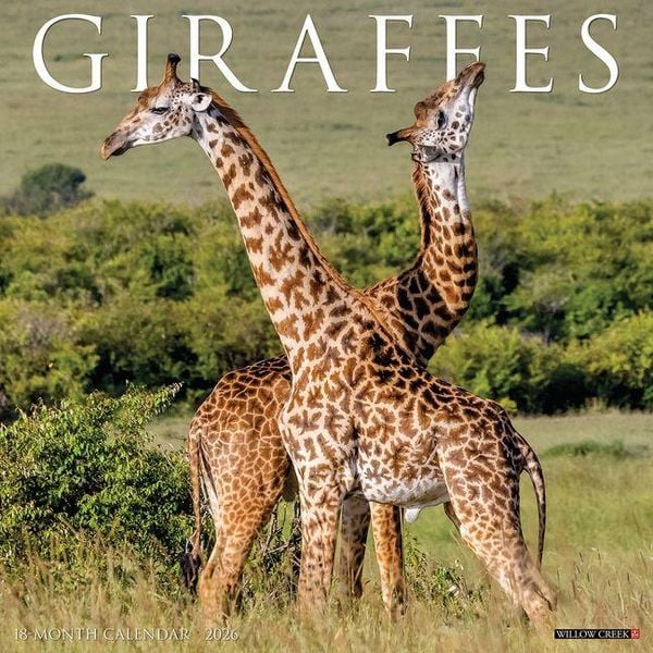 Produktbild: Giraffes 2026 Wall Calendar