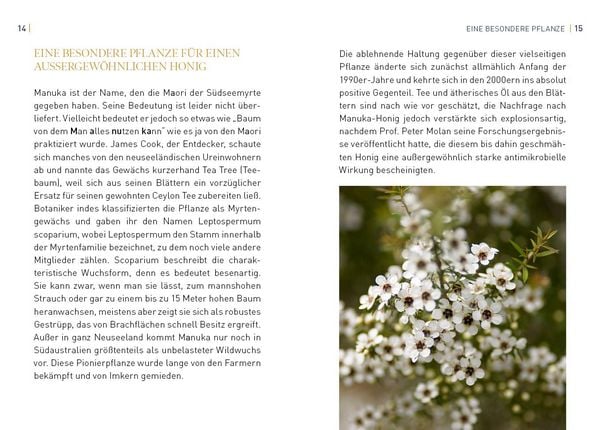 Produktbild: Manuka-Honig - Das Allroundtalent aus Neuseeland für Ihr Wohlbefinden