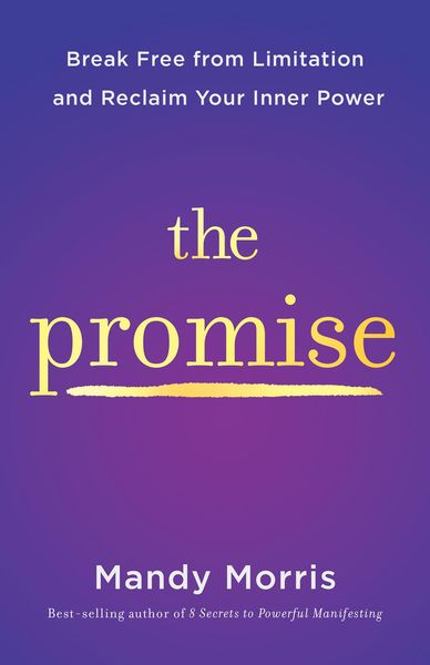 Produktbild: The Promise
