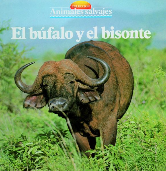 Produktbild: El b&uacute;falo y el bisonte