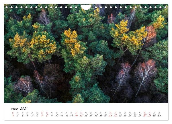 Produktbild: Im Atem der B&auml;ume (Wandkalender 2026 DIN A4 quer), CALVENDO Monatskalender