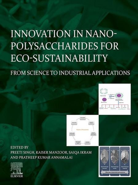 Produktbild: Innovation in Nano-polysaccharides for Eco-sustainability