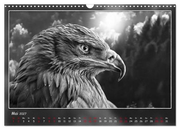 Produktbild: Tieren ins Gesicht geschaut (Wandkalender 2027 DIN A3 quer), CALVENDO Monatskalender