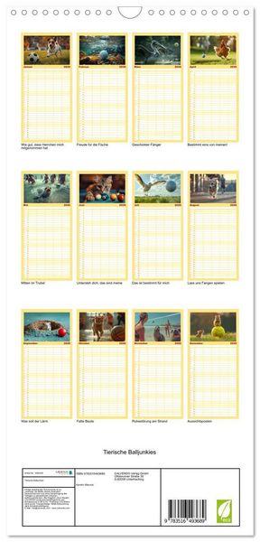 Produktbild: Familienplaner 2026 - Tierische Balljunkies mit 5 Spalten (Wandkalender, 21 x 45 cm) CALVENDO